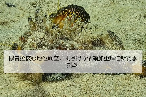 mu-xia-la-he-xin-di-wei-que-li-kai-en-de-fen-yi-lai-jia-zhong-bai-ren-xin-sai-ji-tiao-zhan-3-716.jpg